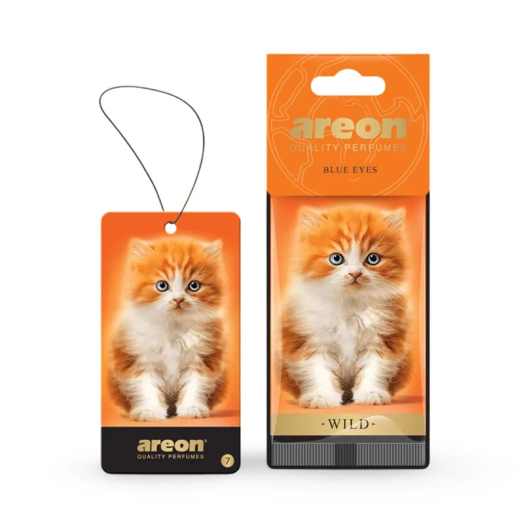 Areon Car Air Freshener